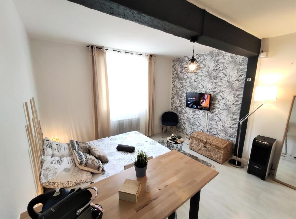 Appartamento Le Jasmin Des Carmes - Hypercentre - Netflix Tolosa Esterno foto